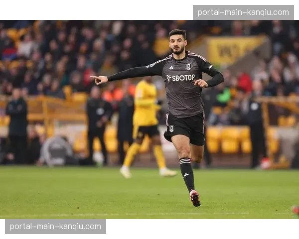 富勒姆官方确认：前锋米特罗维奇因肌肉疲劳将休战两周